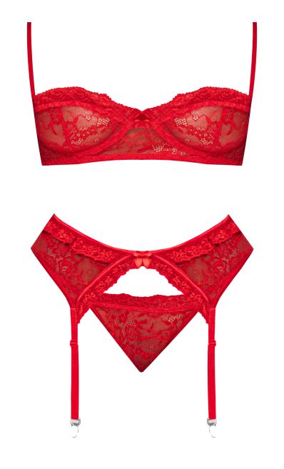 Ooh La Lace Demi Bra Garter & Tanga