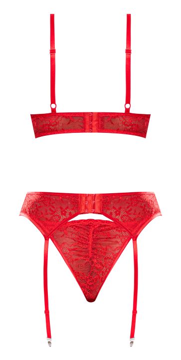 Ooh La Lace Demi Bra Garter & Tanga
