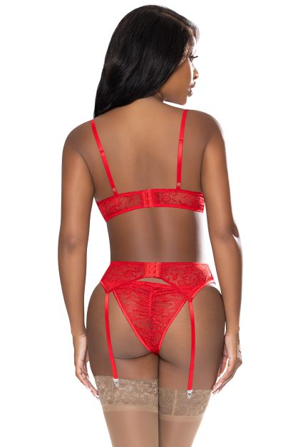 Ooh La Lace Demi Bra Garter & Tanga