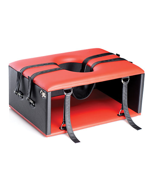Queening Chair / Facesitting Chair by Master Series