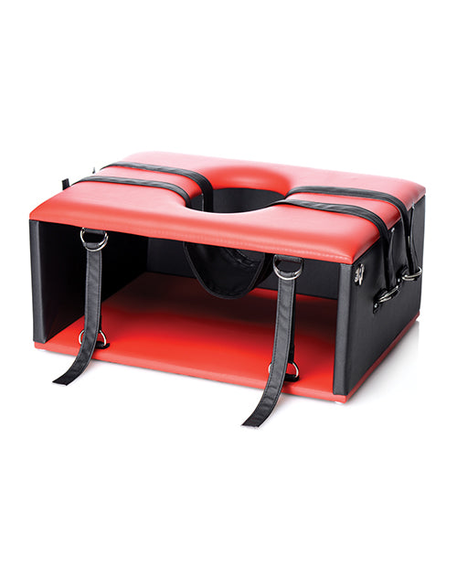 Queening Chair / Facesitting Chair by Master Series