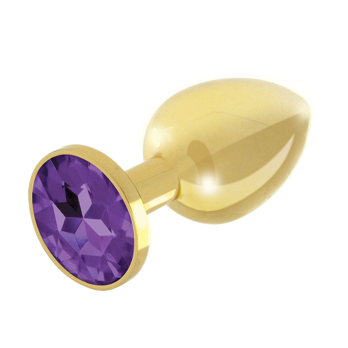 Rianne S. Booty Plug Set 2-Pack - Gold