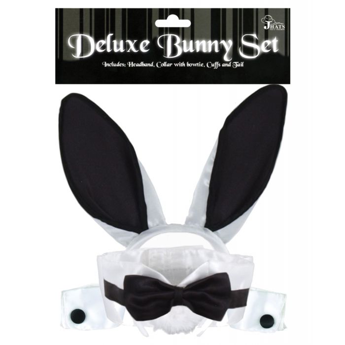 5 Pc Sexy Bunny Kit Costume