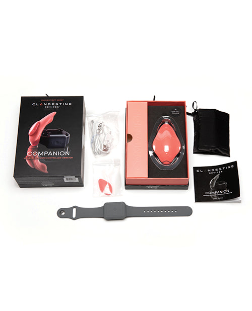 Clandestine Devices Companion Panty Vibrator W/wearable Remote - Coral