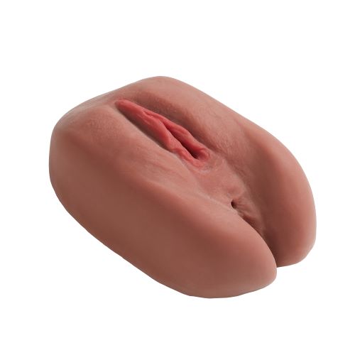 Cloud 9 Pussy & Anal Stroker Body Mold Brown