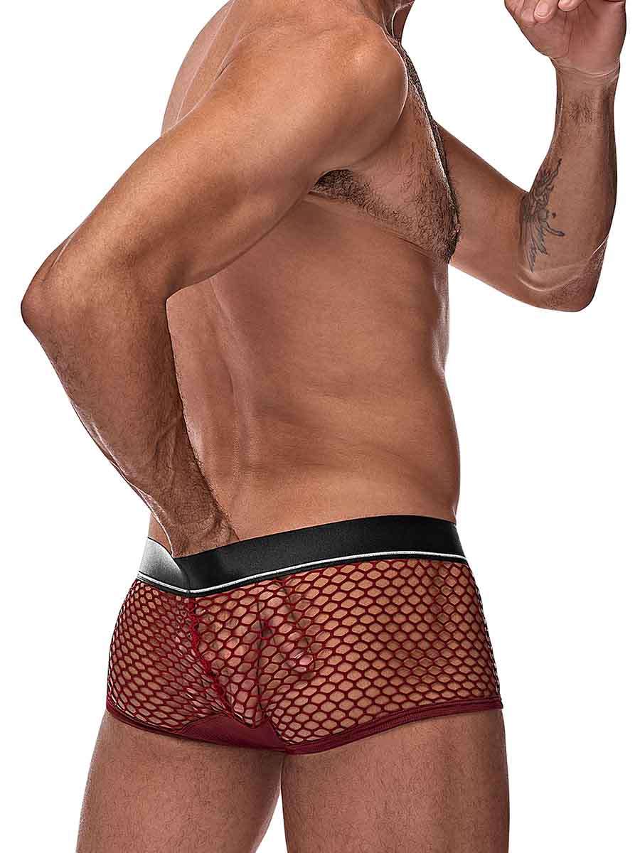 Cock Pit Net Mini Cock Ring Short