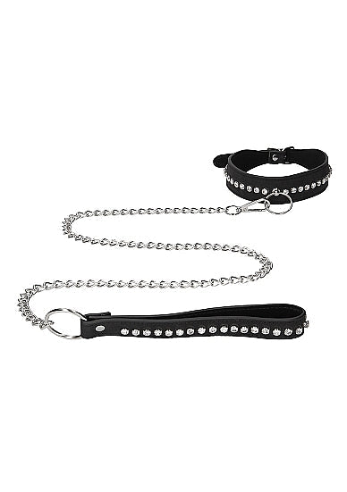 Diamond Studded Collar W/ Leash