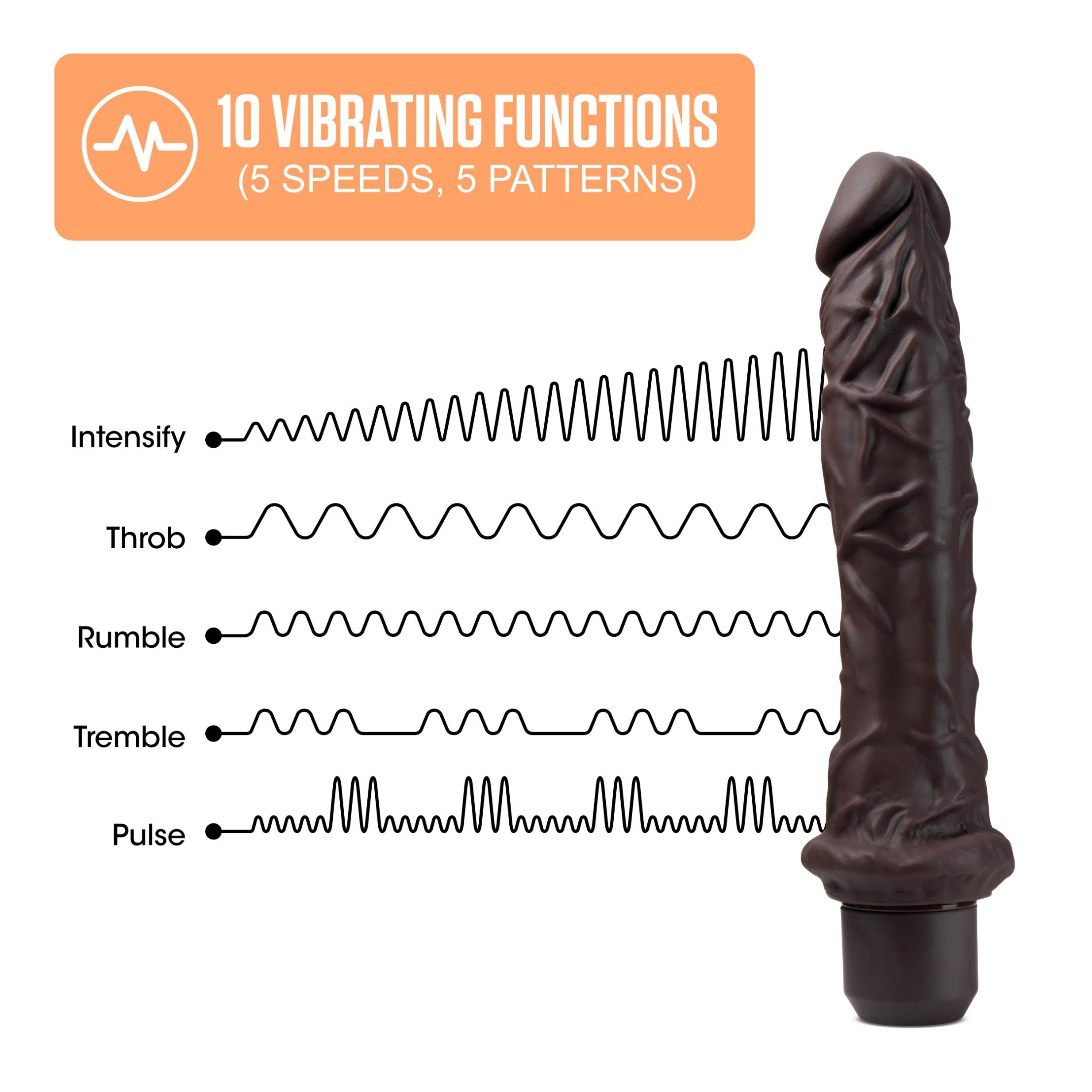 Dr. Skin Silicone Dr. Richard 9in Vibrating Dildo