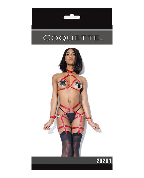 Harness Top & Crotchless Panty Merlot O/s