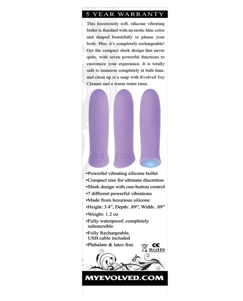 Lilac Delight Rechargeable Bullet Vibrator Purple Purple