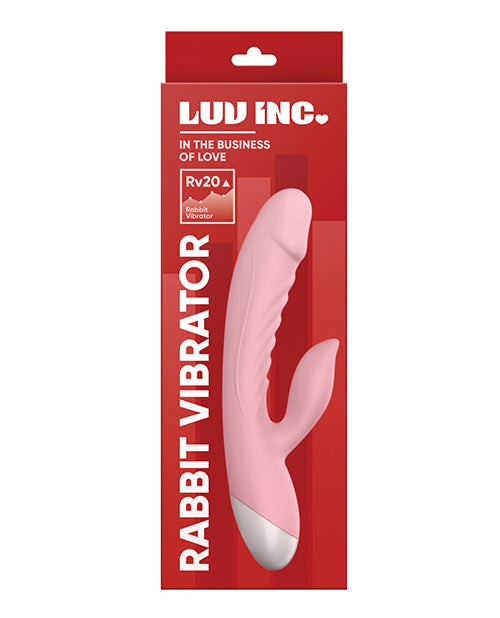 Luv Inc. Rabbit Vibrator by Vvole