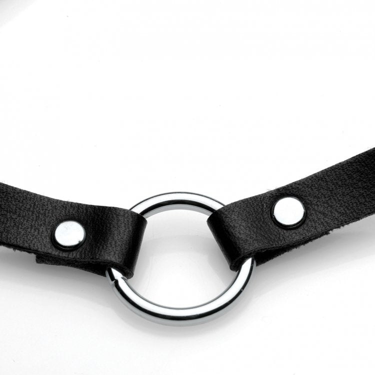 Master Series Lush Pet Silver Ring Slim Choker