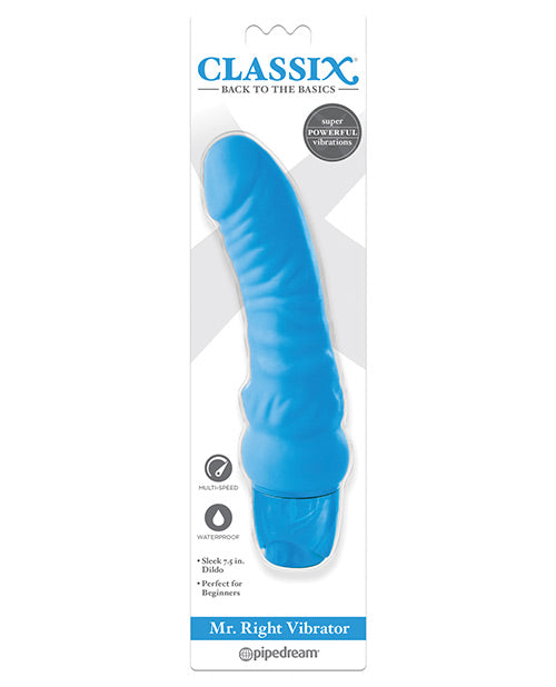 Mr. Right Vibrator Blue