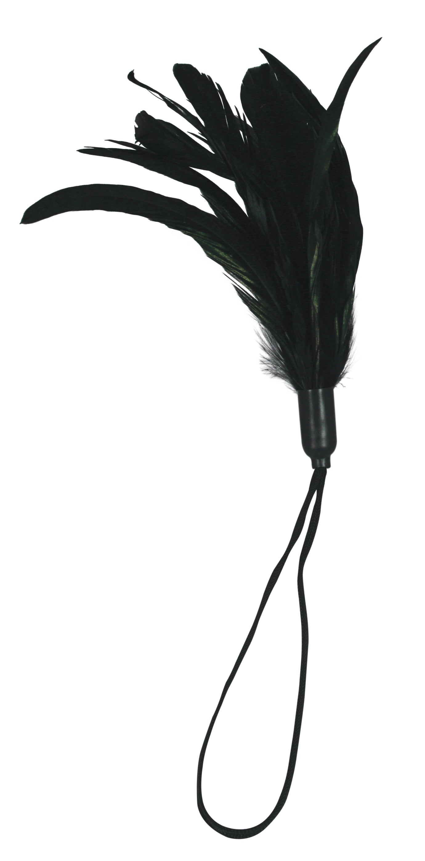 Pleasure Feather Black