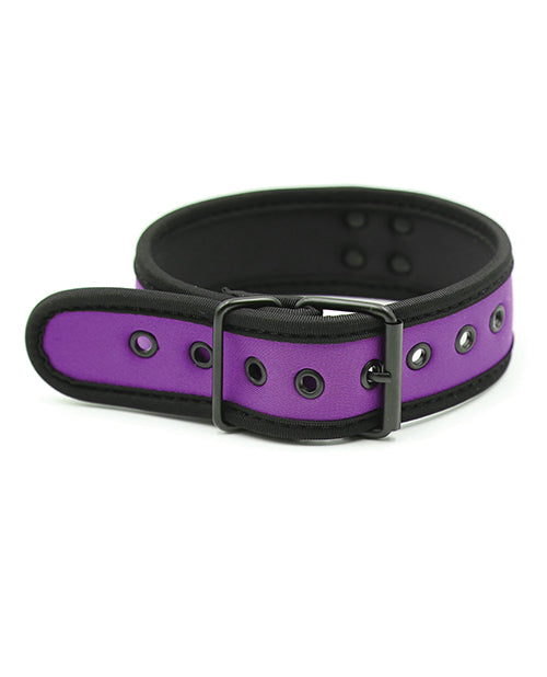 Plesur Neoprene Puppy Collar -