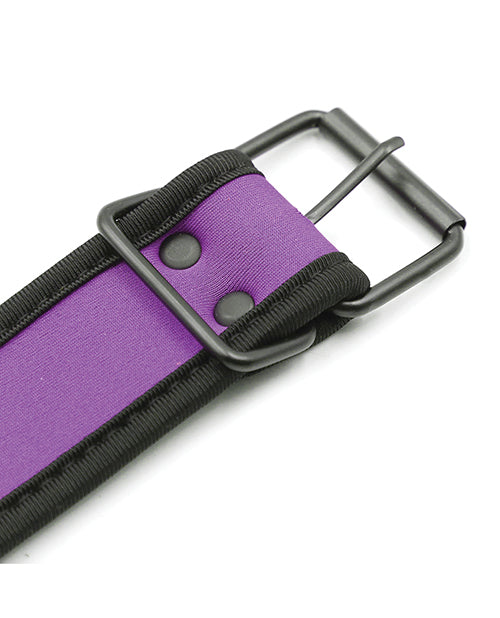 Plesur Neoprene Puppy Collar -