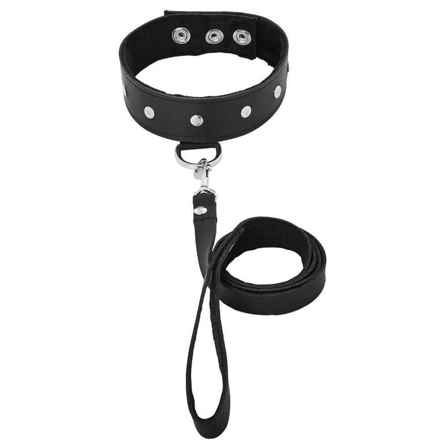 Premium Leather Leash & Collar