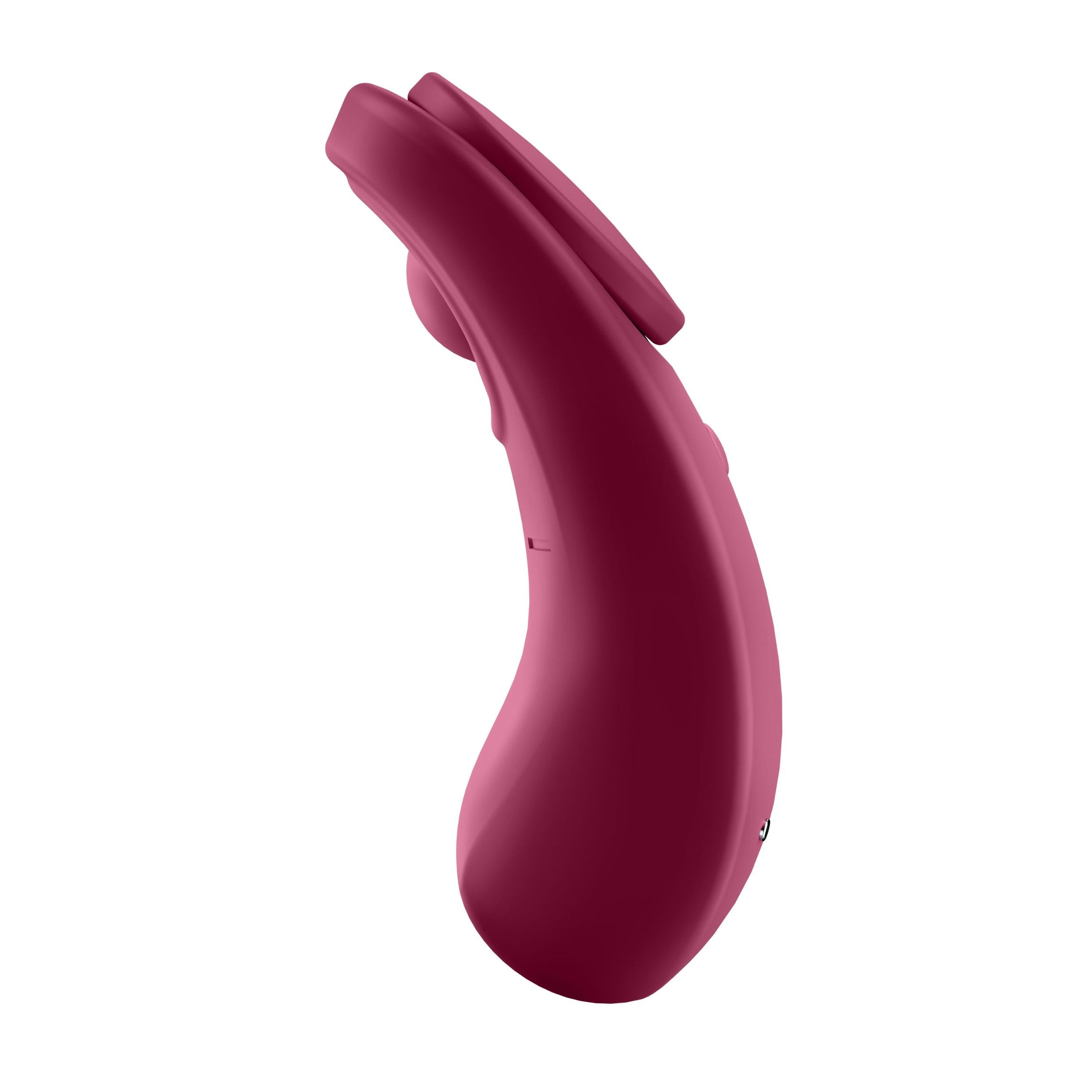 Satisfyer Sexy Secret Wine Red