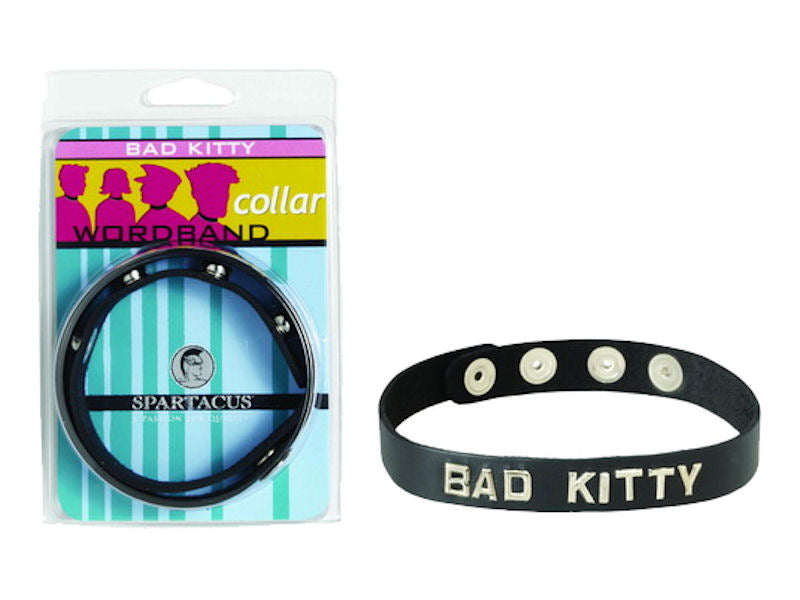 Sm Collar- Bad Kitty Bad Kitty