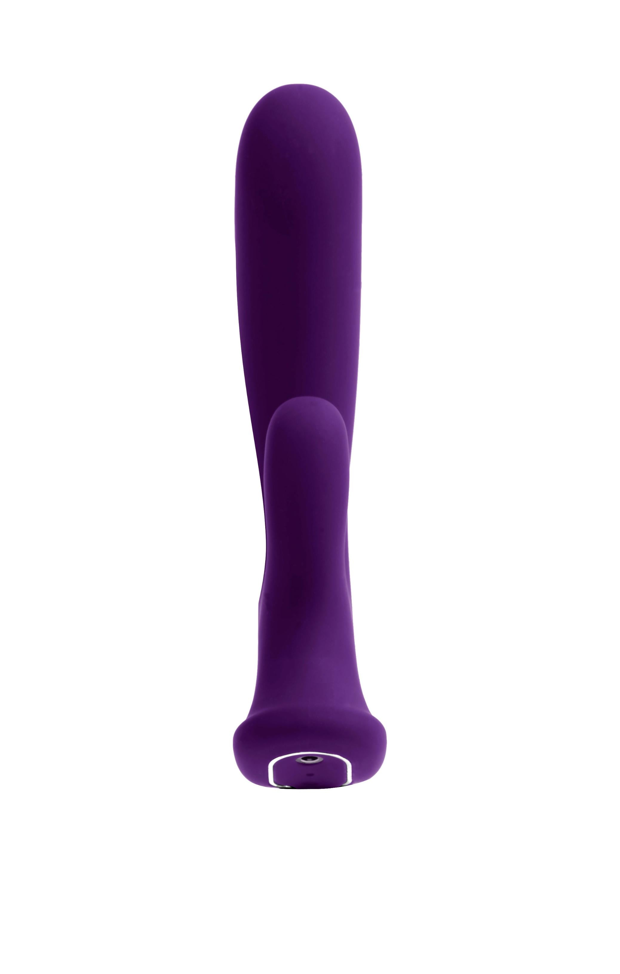 Wild Rechargeable Dual Motor Vibe